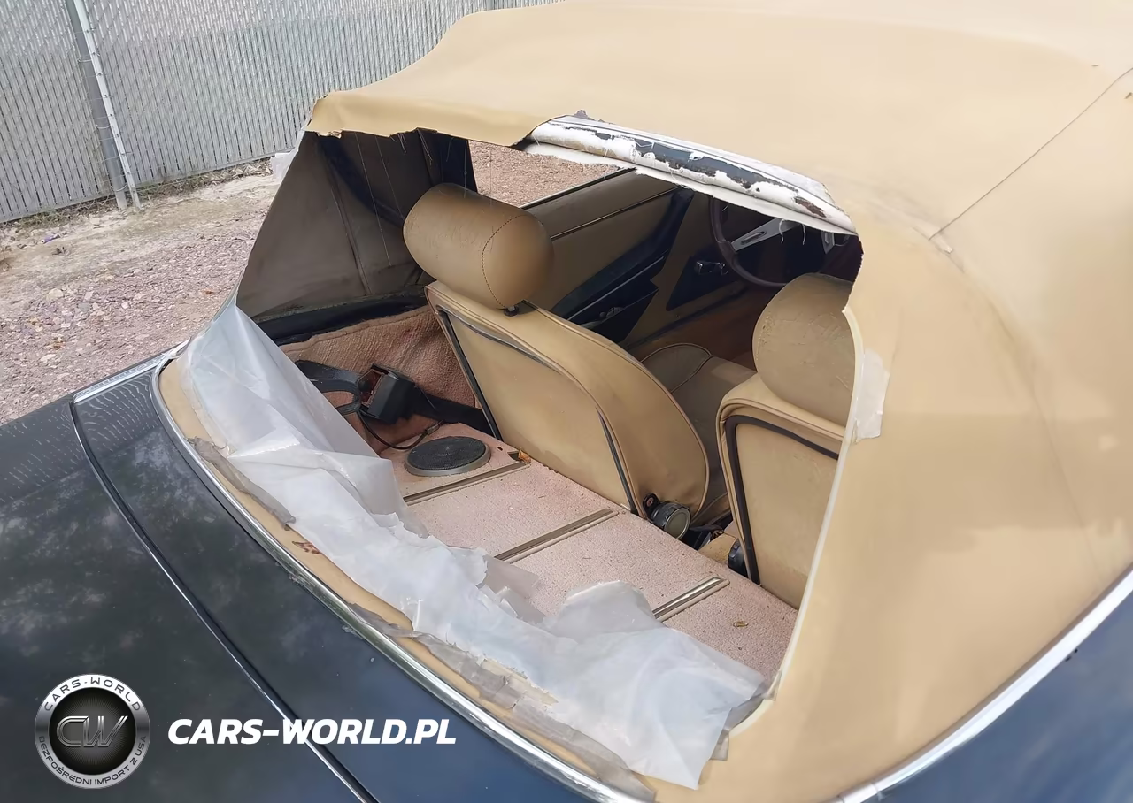 1979 Alfa Romeo Spider VIN:AR115410008528 - 6