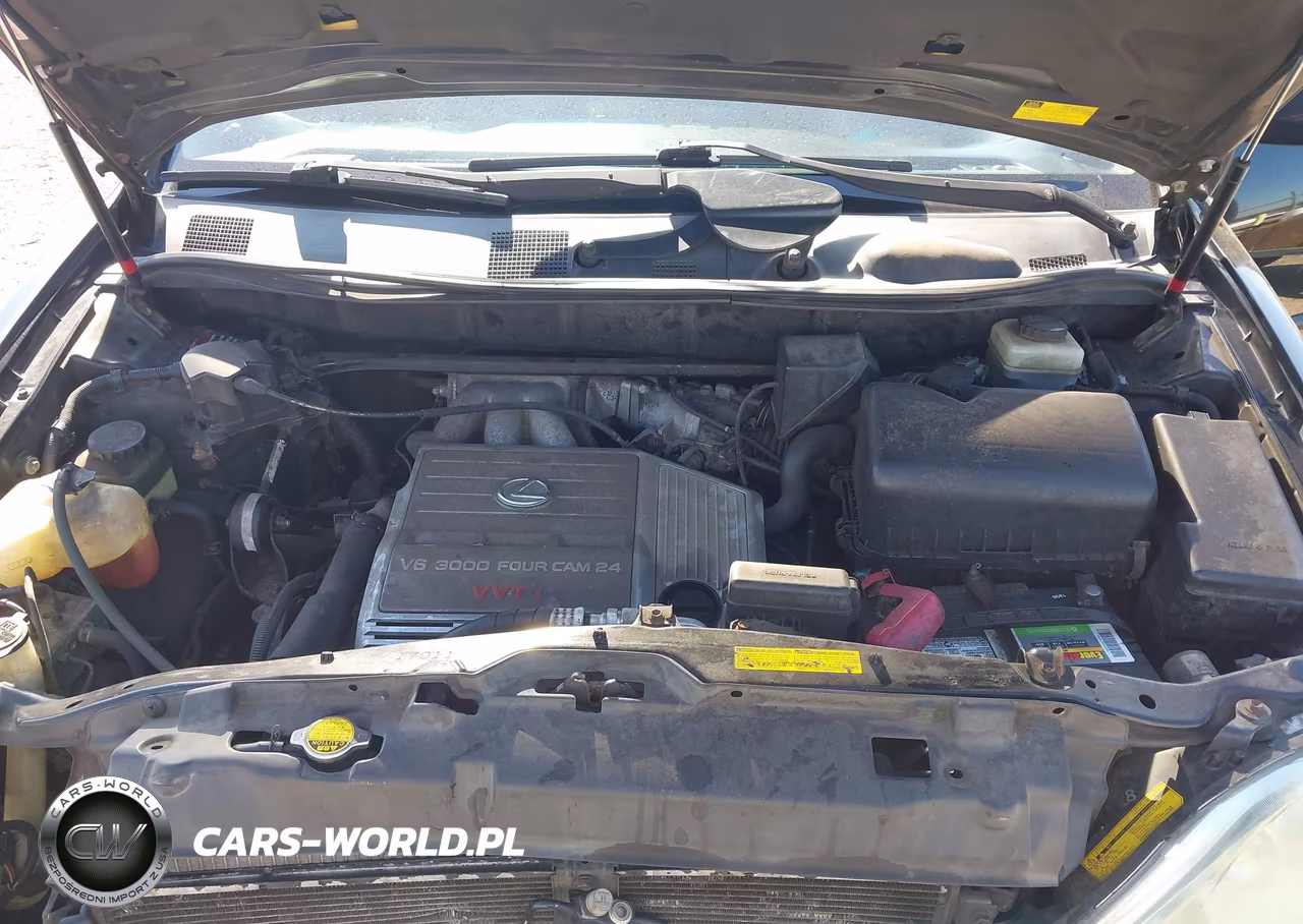 2002 Lexus Rx 300 VIN:JTJHF10UX20256057 - 10