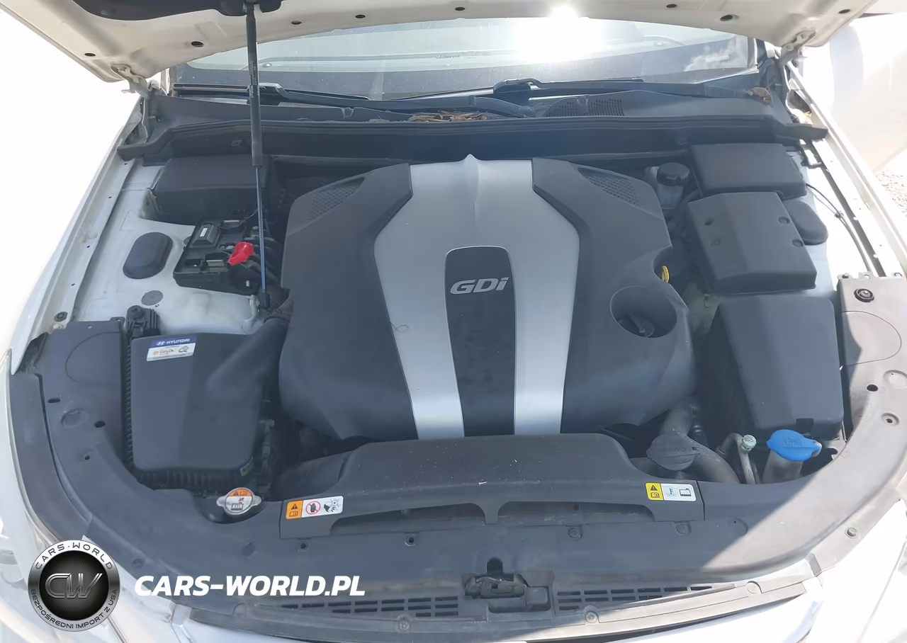 2013 Hyundai Genesis 3.8 VIN:KMHGC4DD0DU243991 - 10