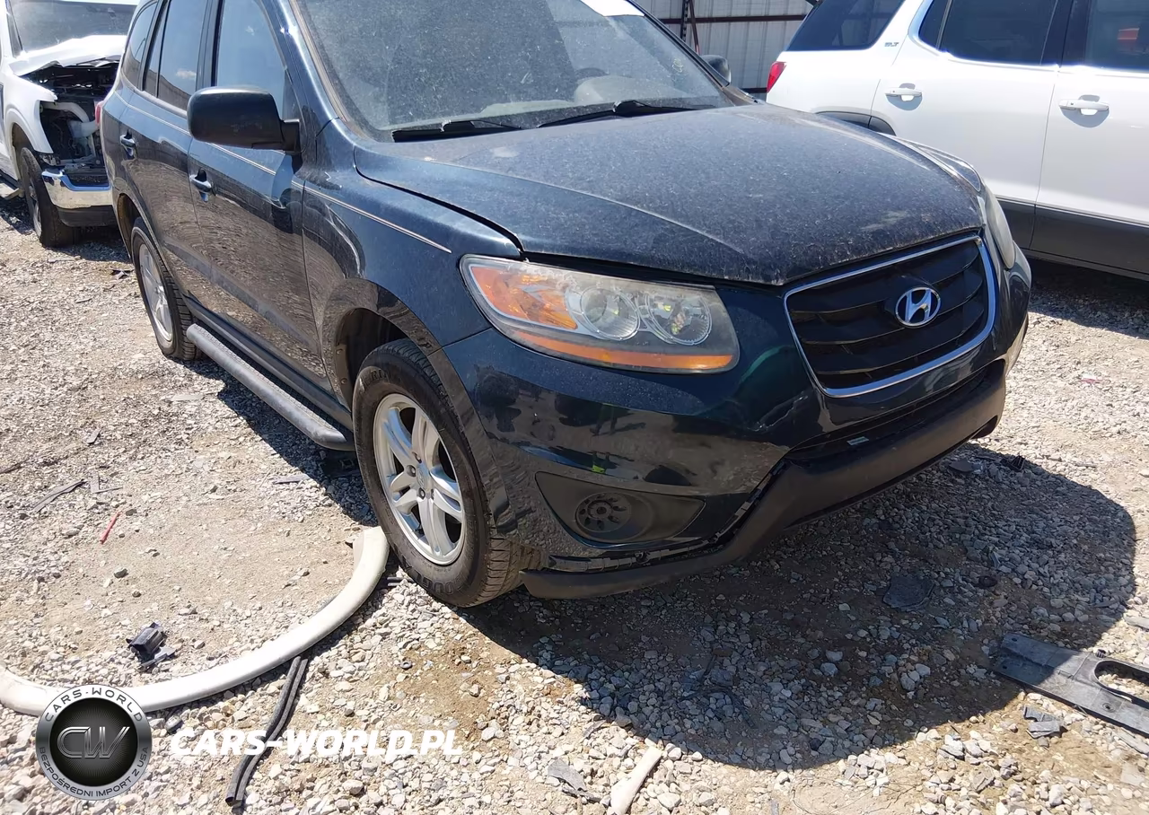 2010 Hyundai Santa Fe Gls VIN:5NMSG3AB8AH390319 - 6