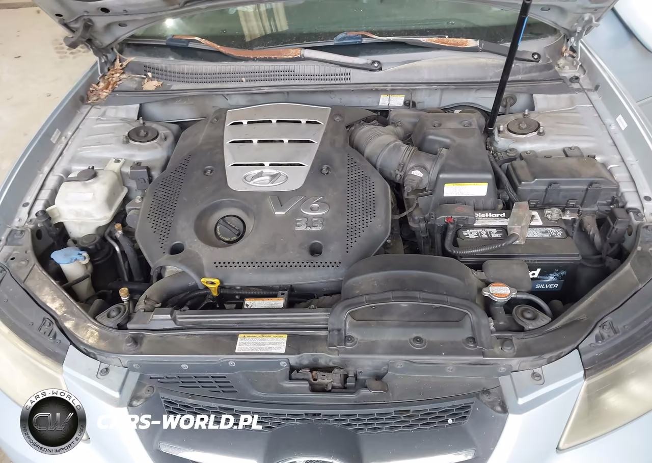 2007 Hyundai Sonata Limited-Limited W-Xm-Se-Se W-Xm VIN:5NPEU46F37H245921 - 10