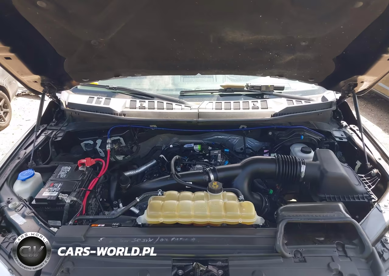 2020 Ford F-150 Xlt VIN:1FTEW1EP6LFA61807 - 10