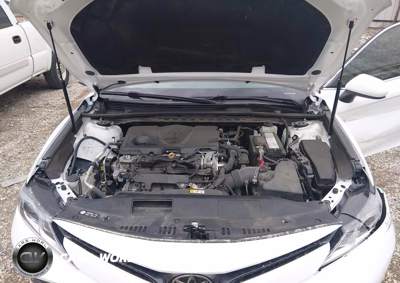 2020 Toyota Camry Le VIN:4T1C11AK3LU910623 - 10