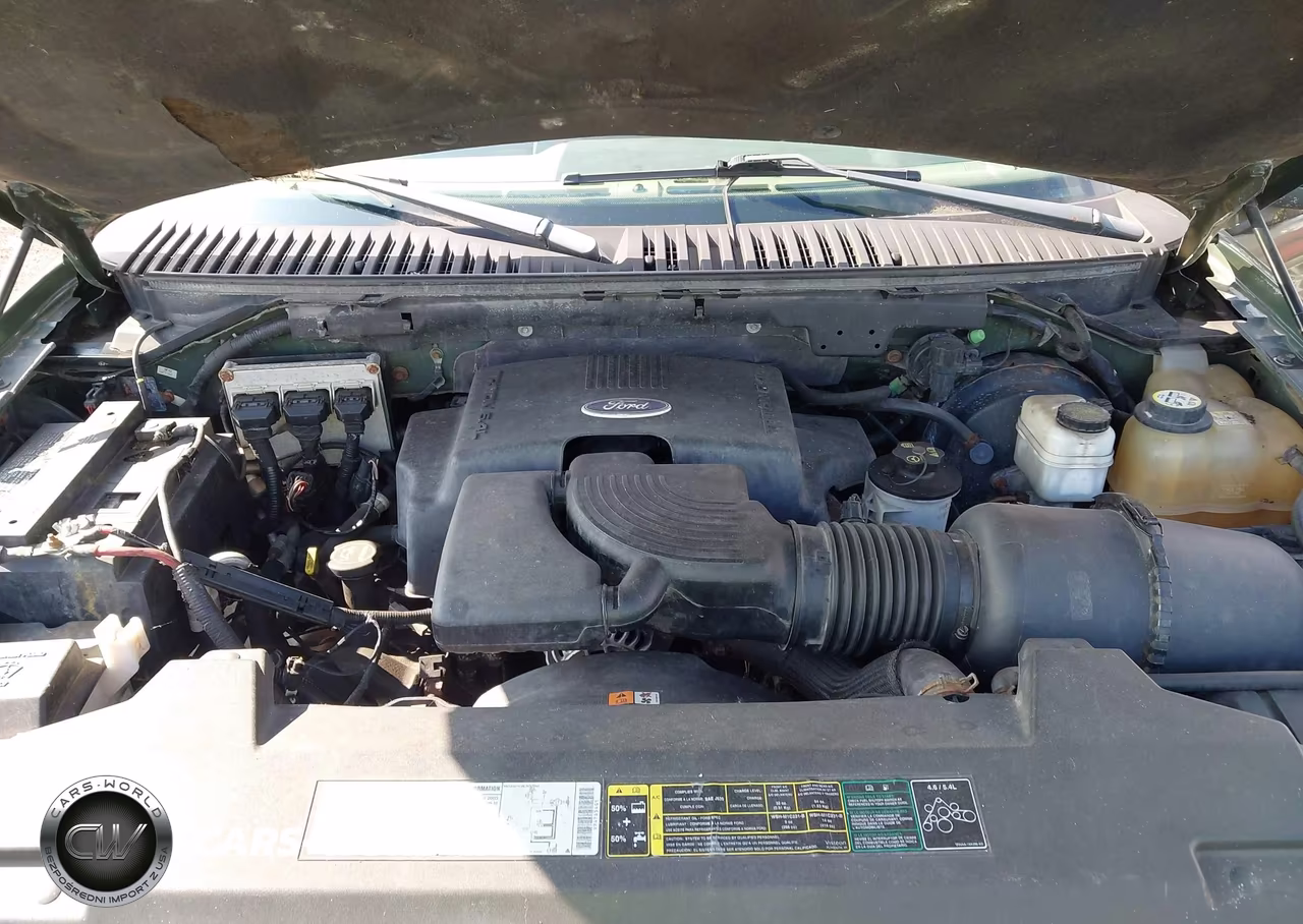 2003 Ford Expedition Xlt VIN:1FMPU16L23LB34131 - 10