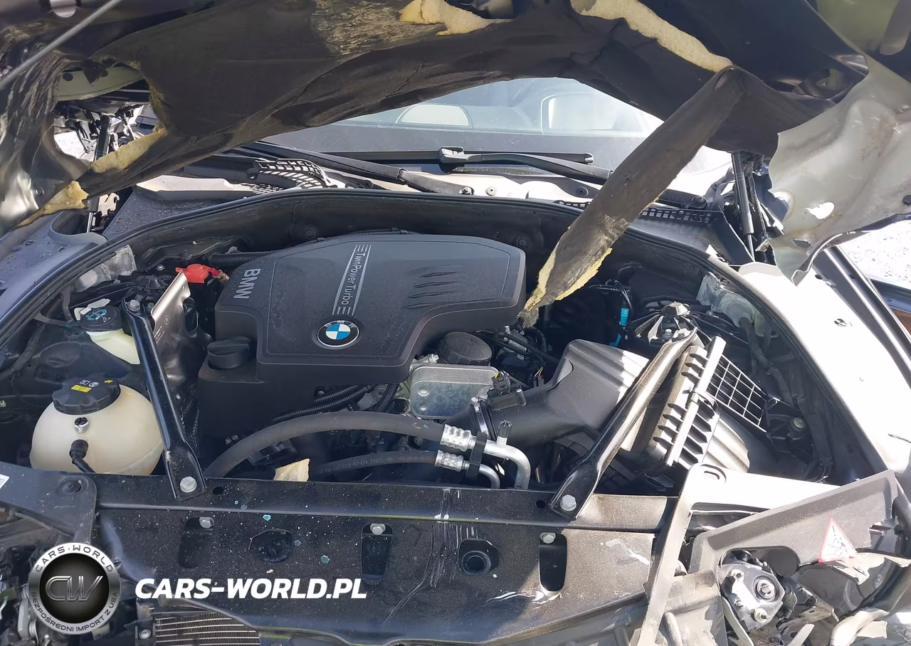 2015 BMW 528I xDrive VIN:WBA5A7C54FG143937 - 10