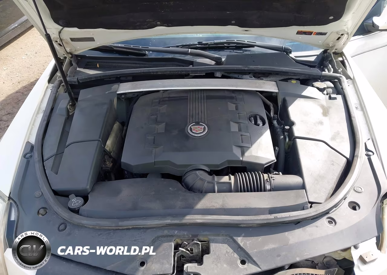 2013 Cadillac Cts Performance VIN:1G6DM8E3XD0111915 - 10