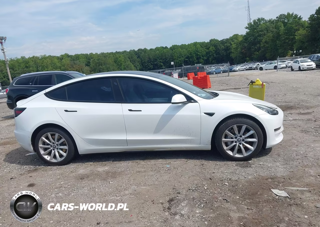 2021 Tesla Model 3 Standard Range Plus Rear-Wheel Drive VIN:5YJ3E1EA8MF851914 - 13