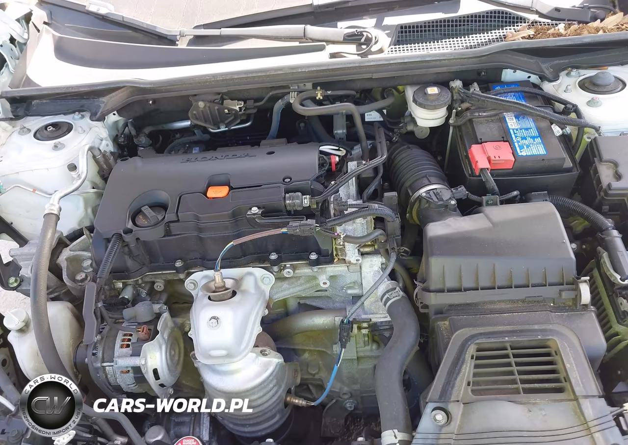 2024 Honda Civic Sport VIN:2HGFE2F54RH562505 - 10