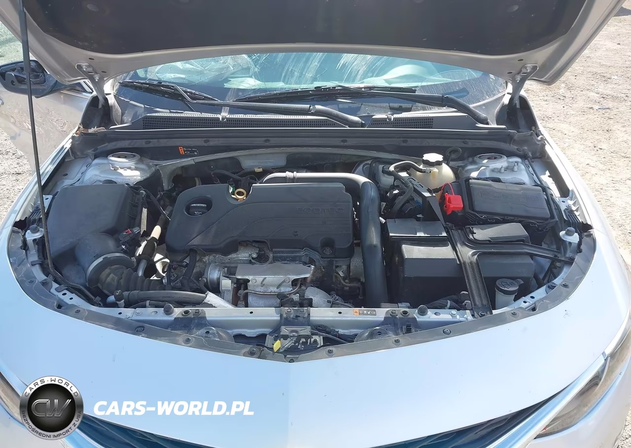 2019 Chevrolet Malibu Lt VIN:1G1ZD5ST4KF144353 - 10