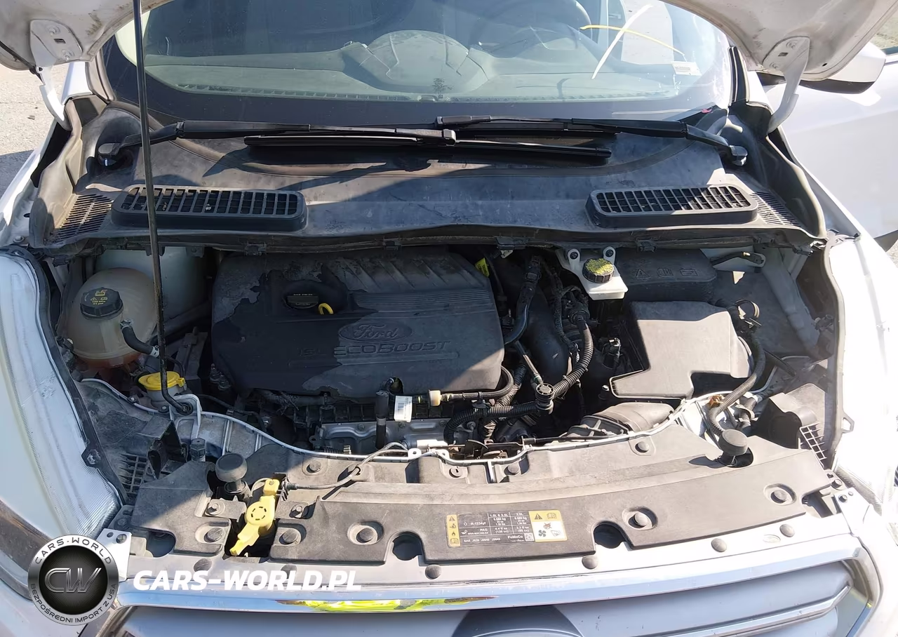 2017 Ford Escape Se VIN:1FMCU0GD7HUE95954 - 10