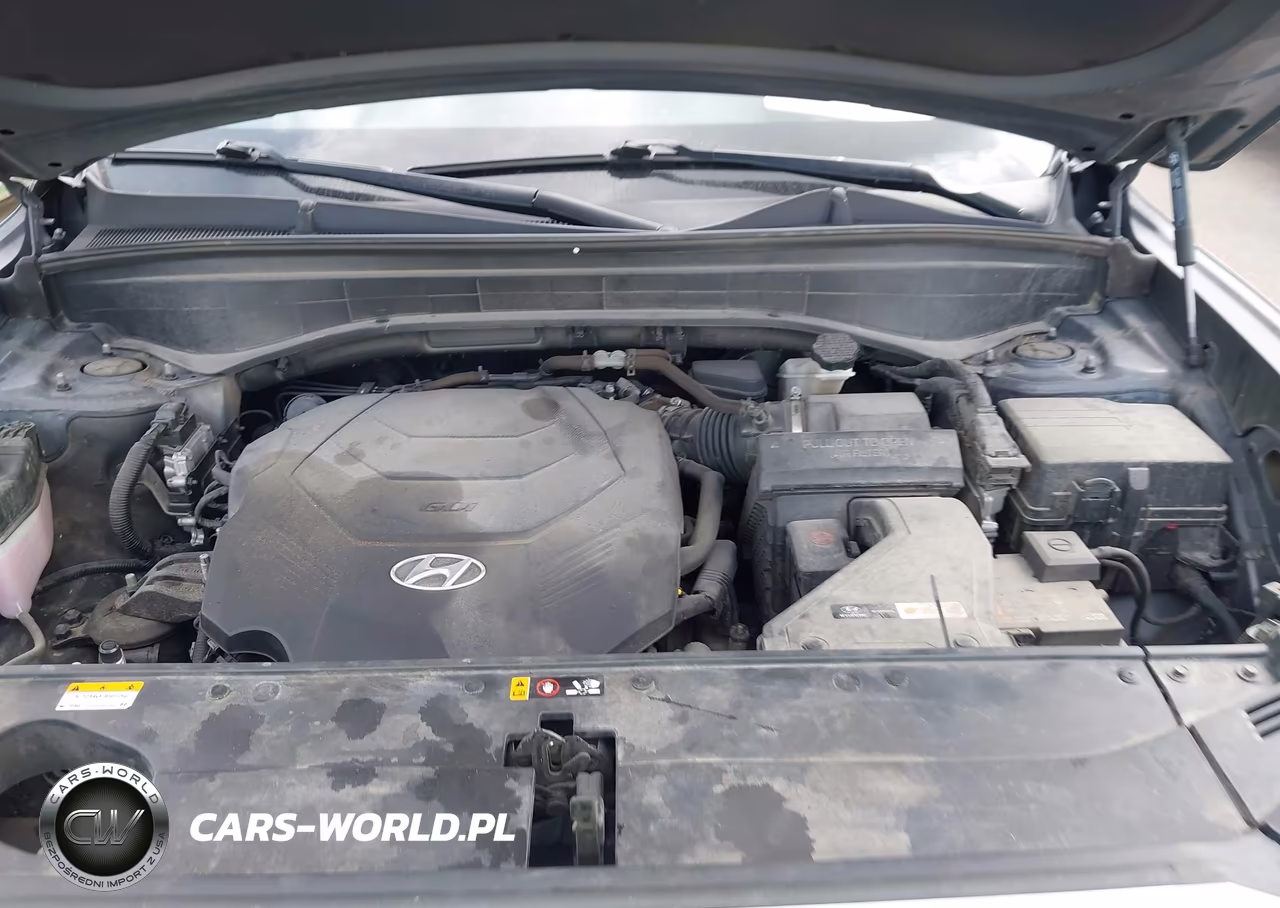 2022 Hyundai Palisade Calligraphy VIN:KM8R7DHE5NU372780 - 10