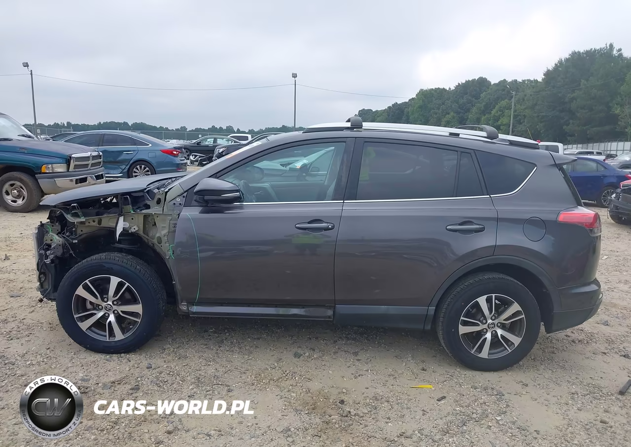 2016 Toyota Rav4 Xle VIN:2T3WFREV1GW291826 - 15