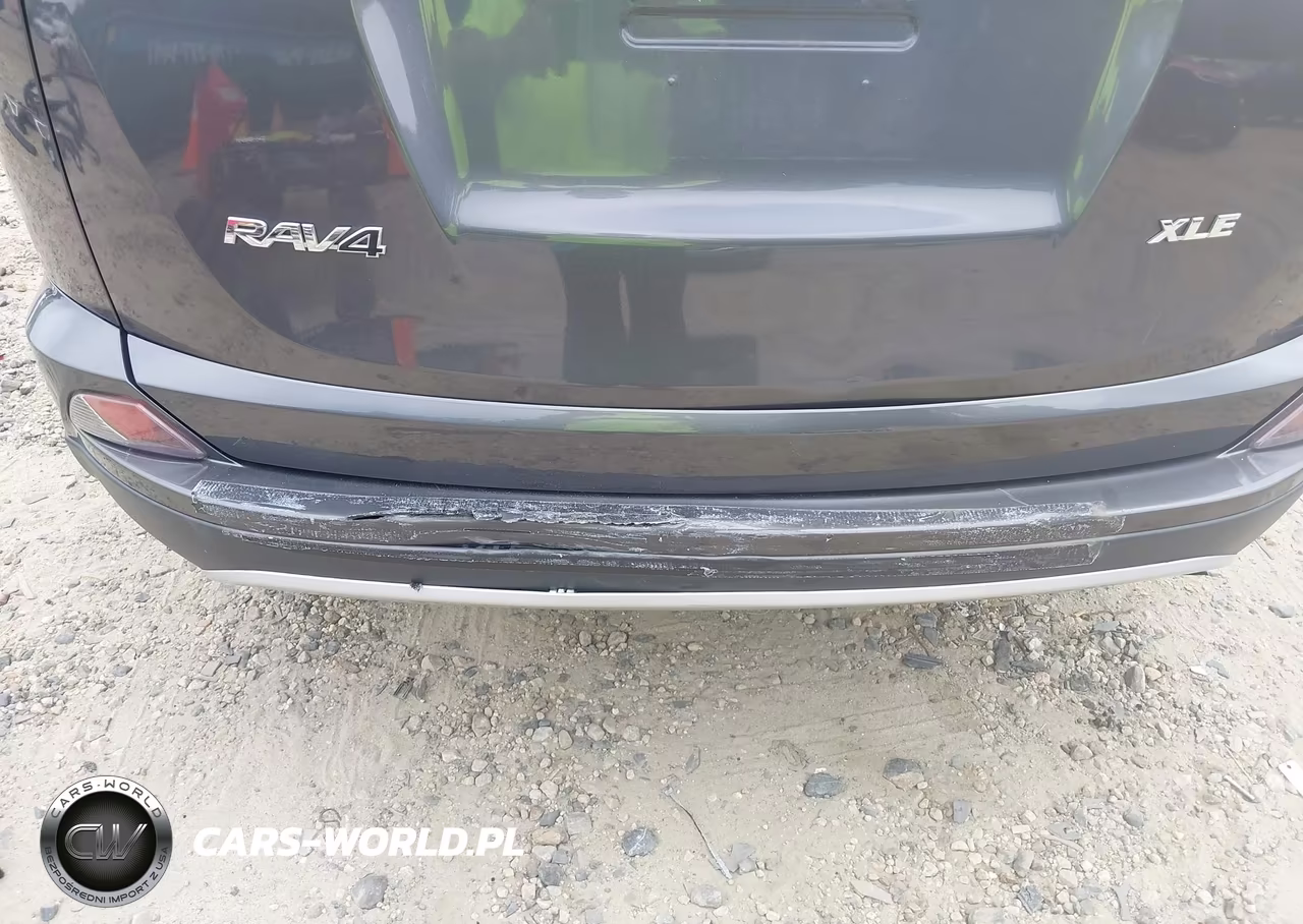 2016 Toyota Rav4 Xle VIN:2T3WFREV1GW291826 - 20