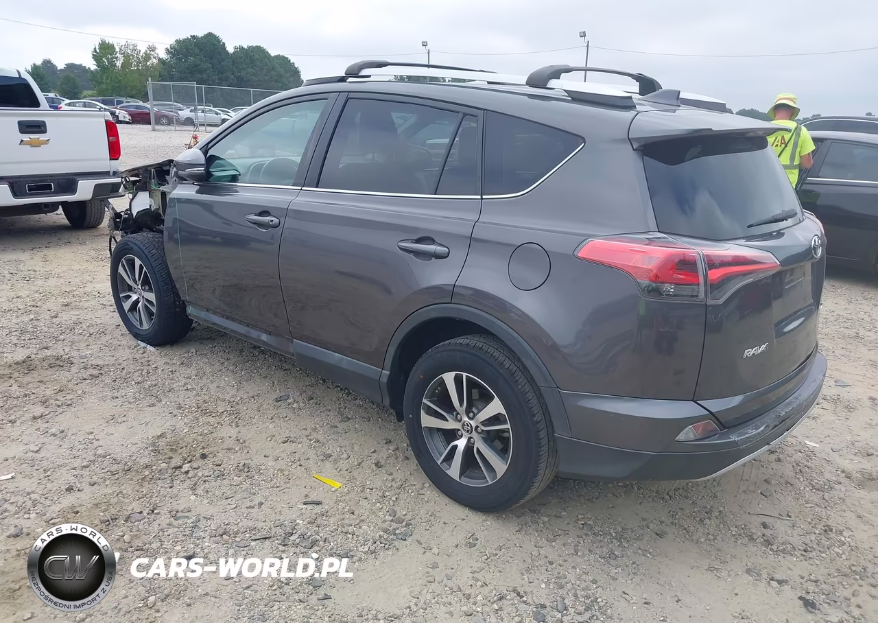 2016 Toyota Rav4 Xle VIN:2T3WFREV1GW291826 - 3