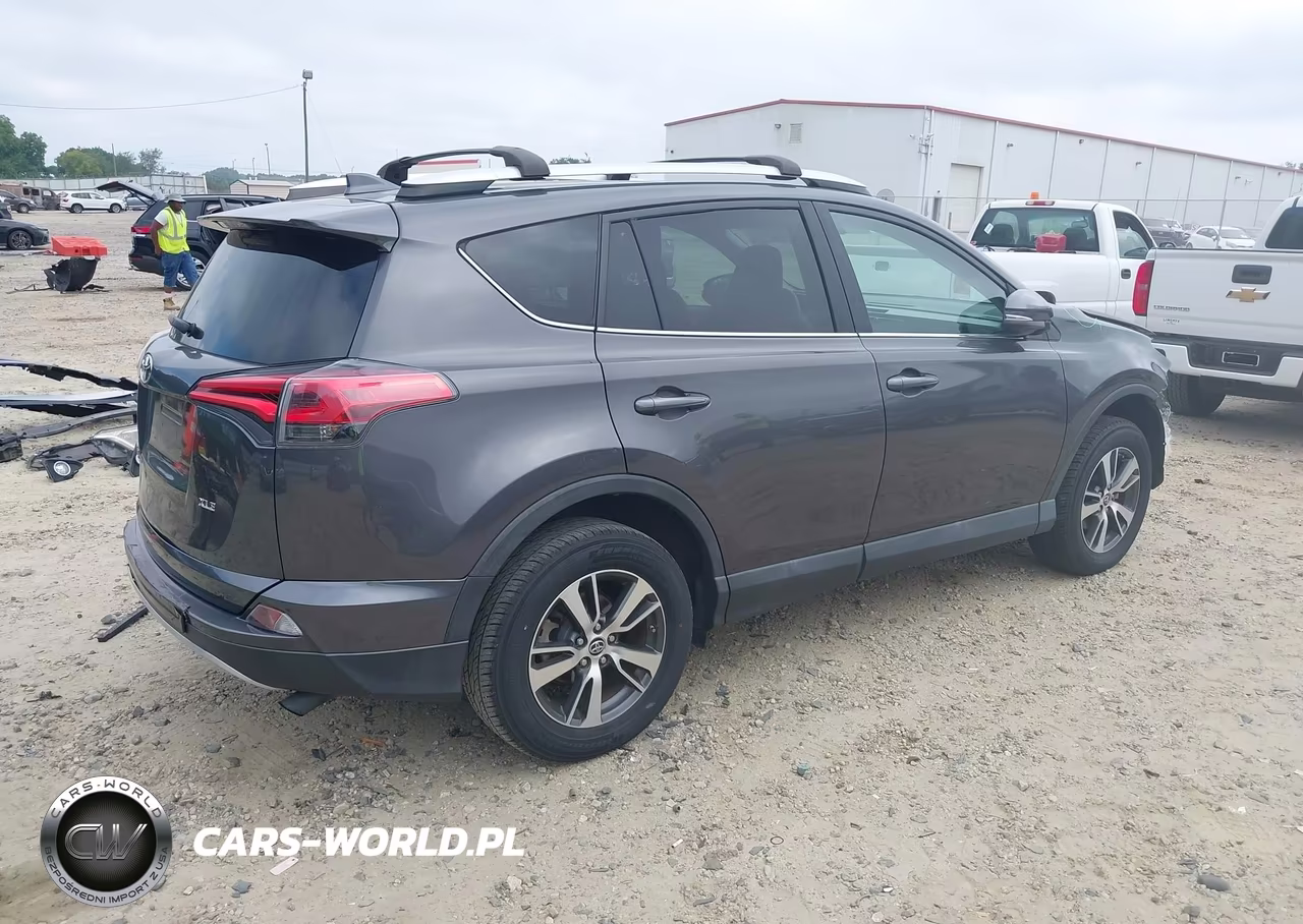 2016 Toyota Rav4 Xle VIN:2T3WFREV1GW291826 - 4