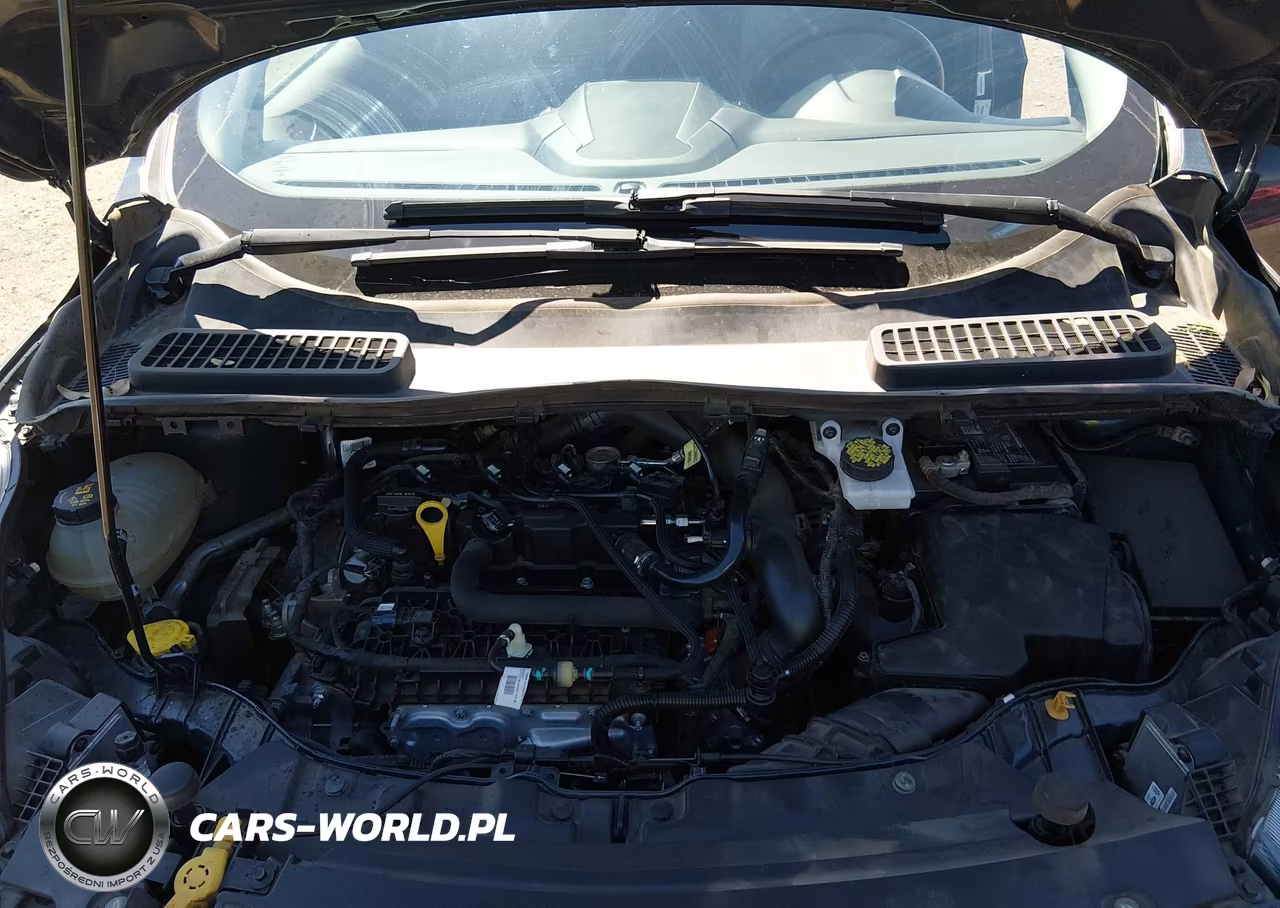 2019 Ford Escape Se VIN:1FMCU0GD8KUB75954 - 10