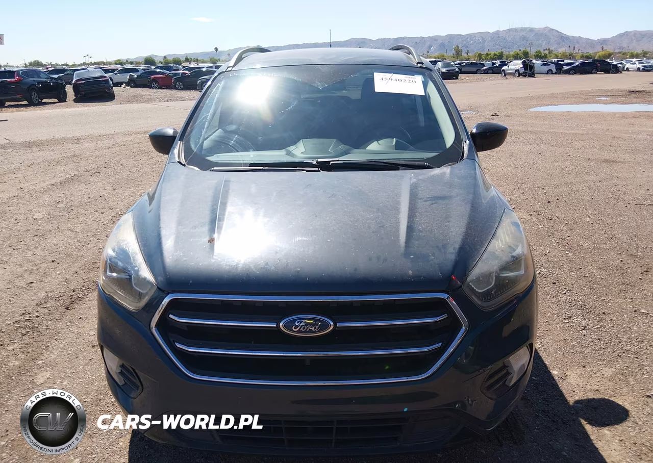 2019 Ford Escape Se VIN:1FMCU0GD8KUB75954 - 12