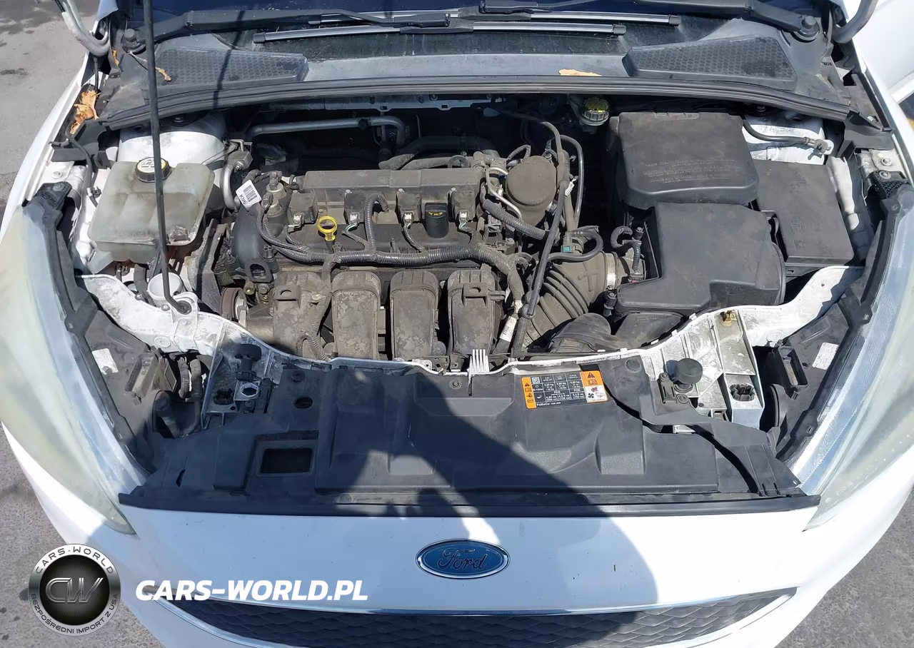 2015 Ford Focus Se VIN:1FADP3F20FL279695 - 10