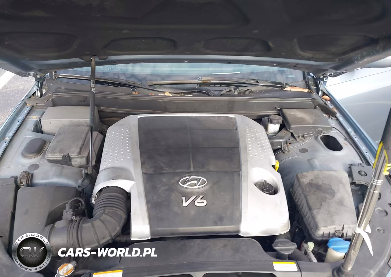 2010 Hyundai Genesis 3.8 VIN:KMHGC4DE4AU101177 - 10