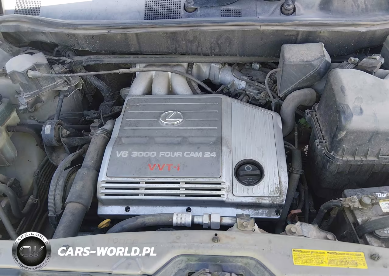 2002 Lexus Rx 300 VIN:JTJHF10U420268169 - 10