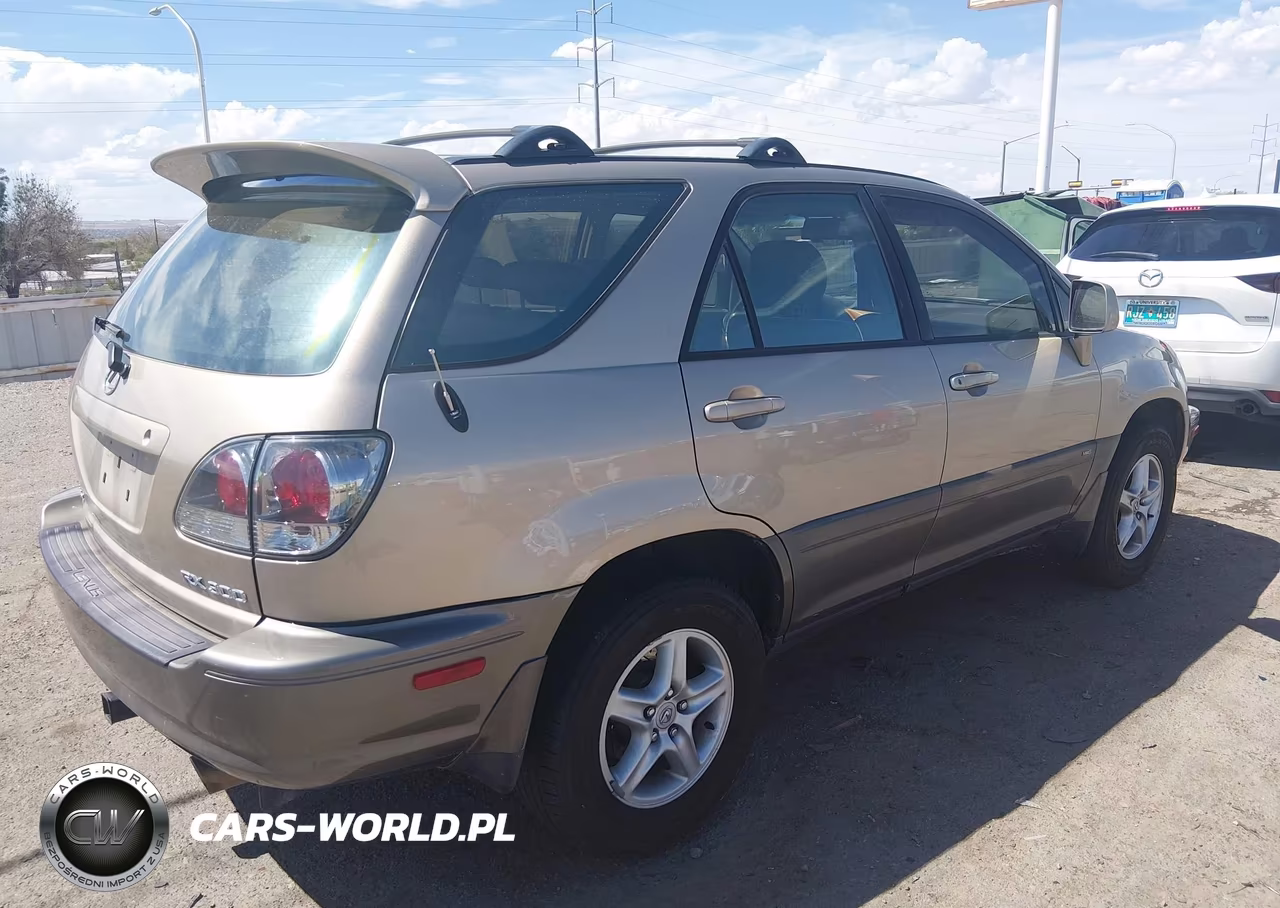 2002 Lexus Rx 300 VIN:JTJHF10U420268169 - 4