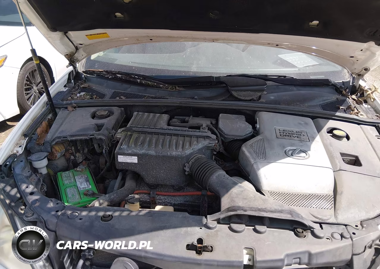 2007 Lexus Rx 400H VIN:JTJHW31U472015469 - 10