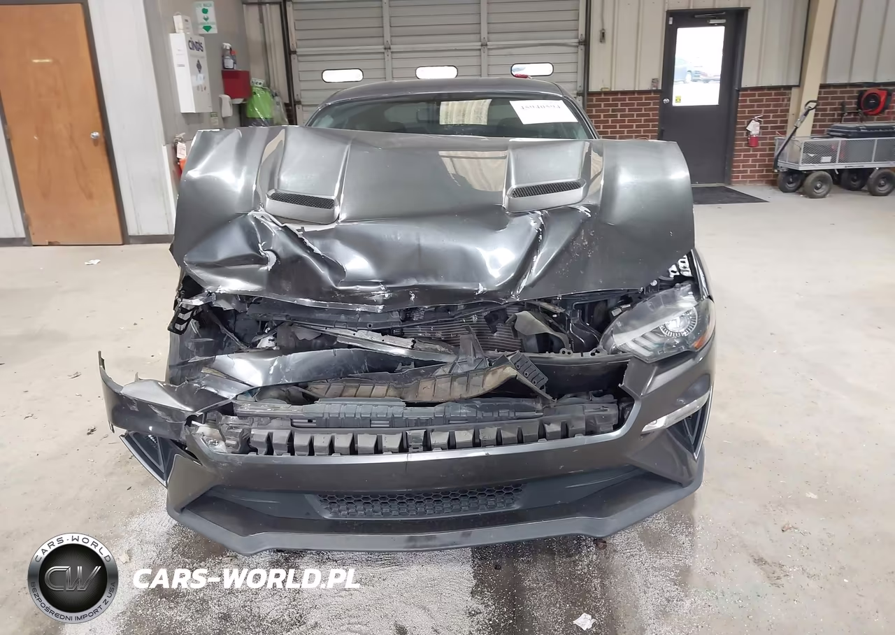 2019 Ford Mustang Gt VIN:1FA6P8CFXK5157079 - 12