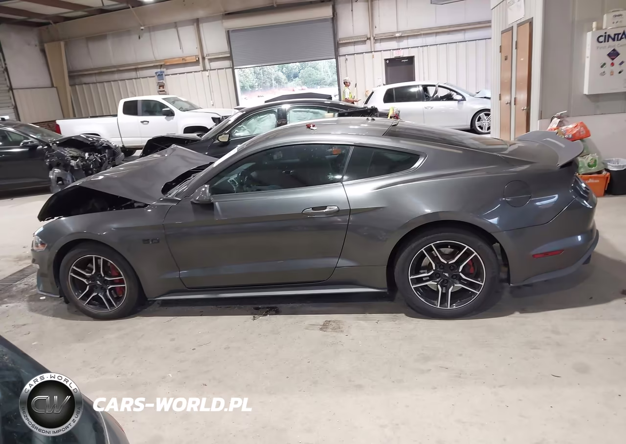 2019 Ford Mustang Gt VIN:1FA6P8CFXK5157079 - 14