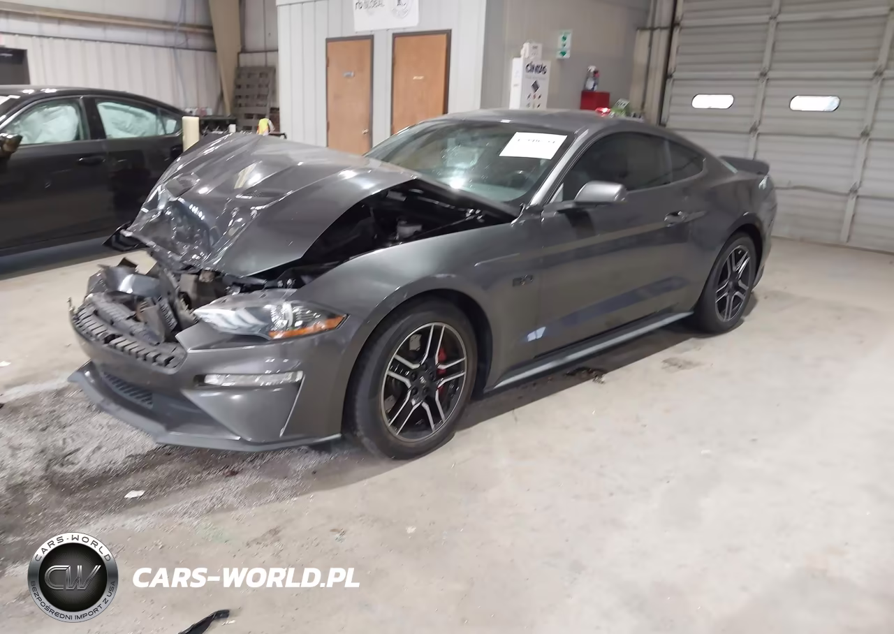 2019 Ford Mustang Gt VIN:1FA6P8CFXK5157079 - 2
