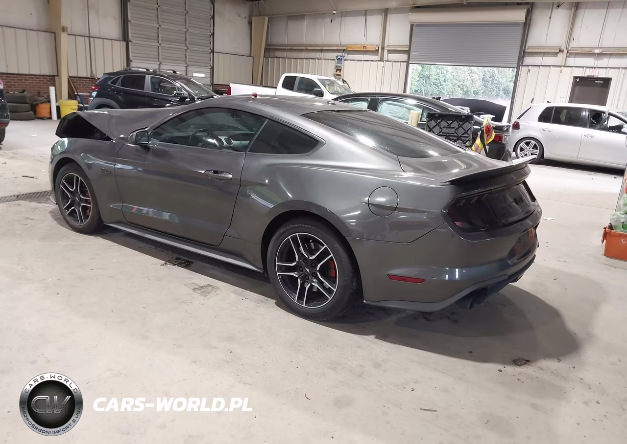 2019 Ford Mustang Gt VIN:1FA6P8CFXK5157079 - 3