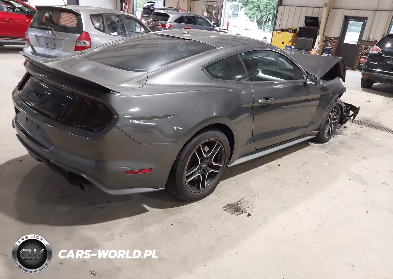 2019 Ford Mustang Gt VIN:1FA6P8CFXK5157079 - 4