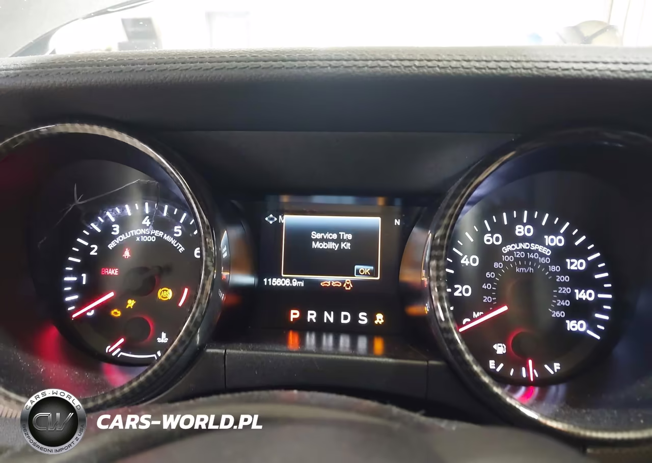 2019 Ford Mustang Gt VIN:1FA6P8CFXK5157079 - 7