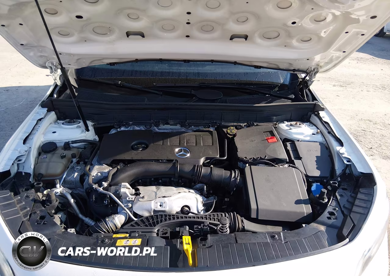 2020 Mercedes-Benz Glb 250 4Matic VIN:WDC4M4HBXLW009366 - 10
