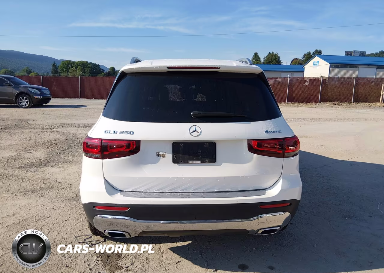 2020 Mercedes-Benz Glb 250 4Matic VIN:WDC4M4HBXLW009366 - 16