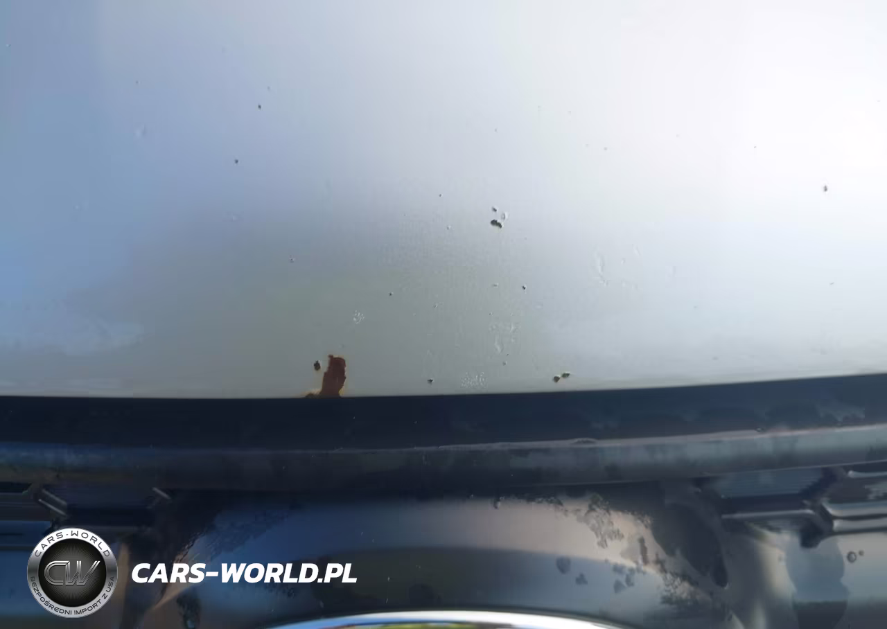 2011 Toyota Rav4 VIN:2T3BF4DVXBW124487 - 21