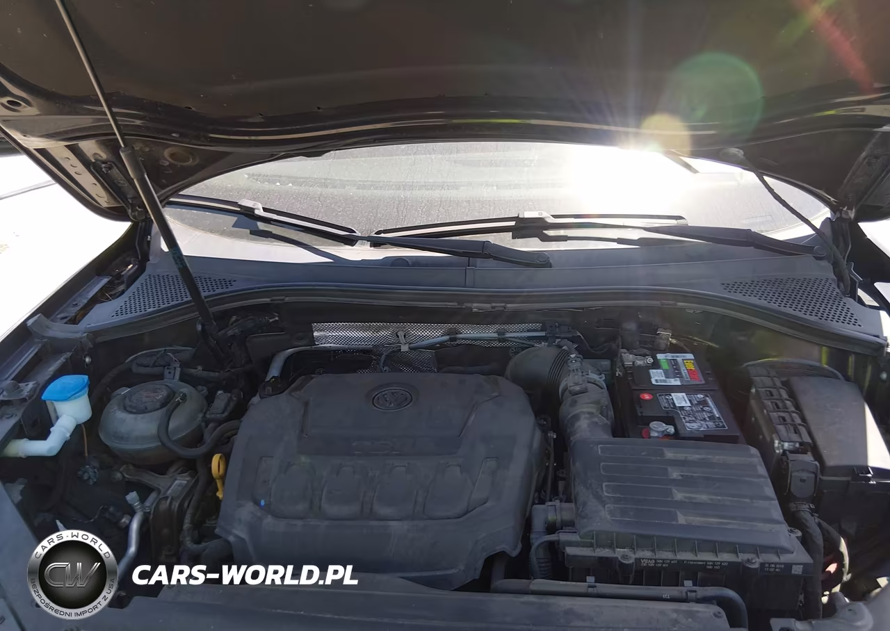 2019 Volkswagen Tiguan 2.0T S VIN:3VV1B7AX0KM009060 - 10