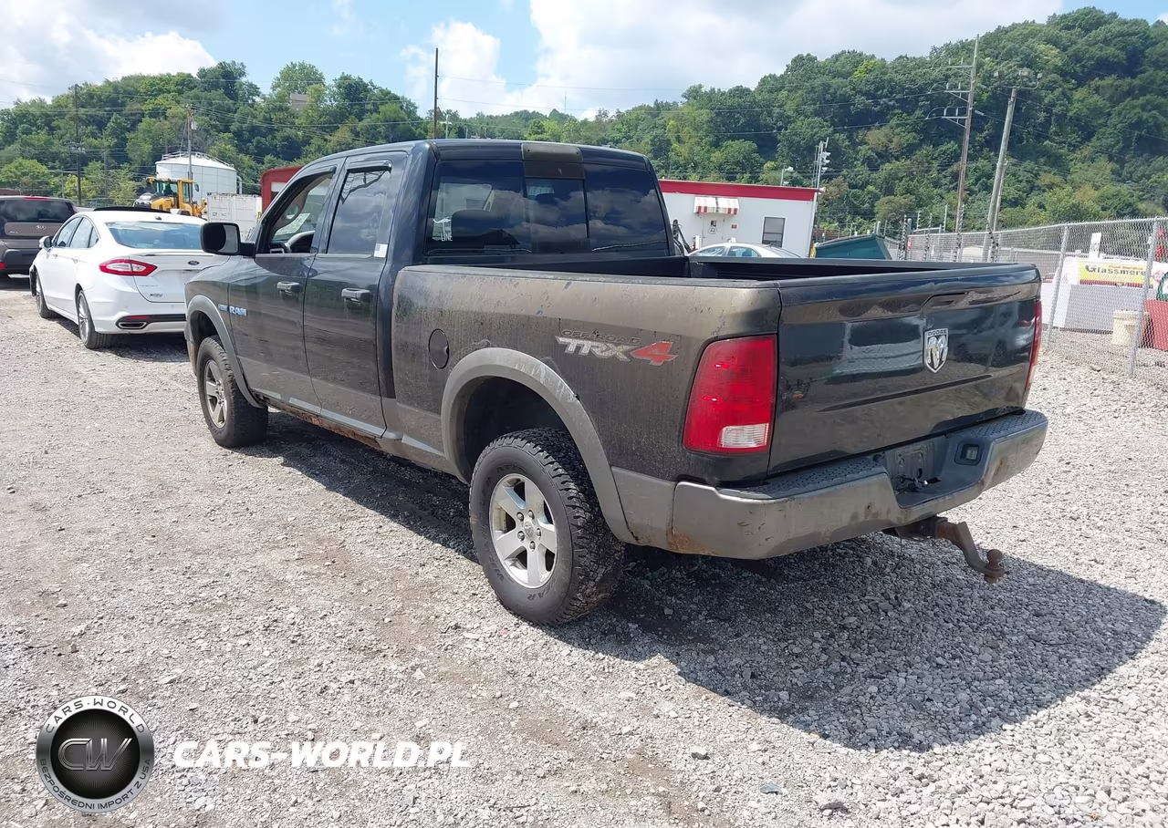 2010 Dodge Ram 1500 Slt-Sport-Trx VIN:1D7RV1GT1AS103342 - 3