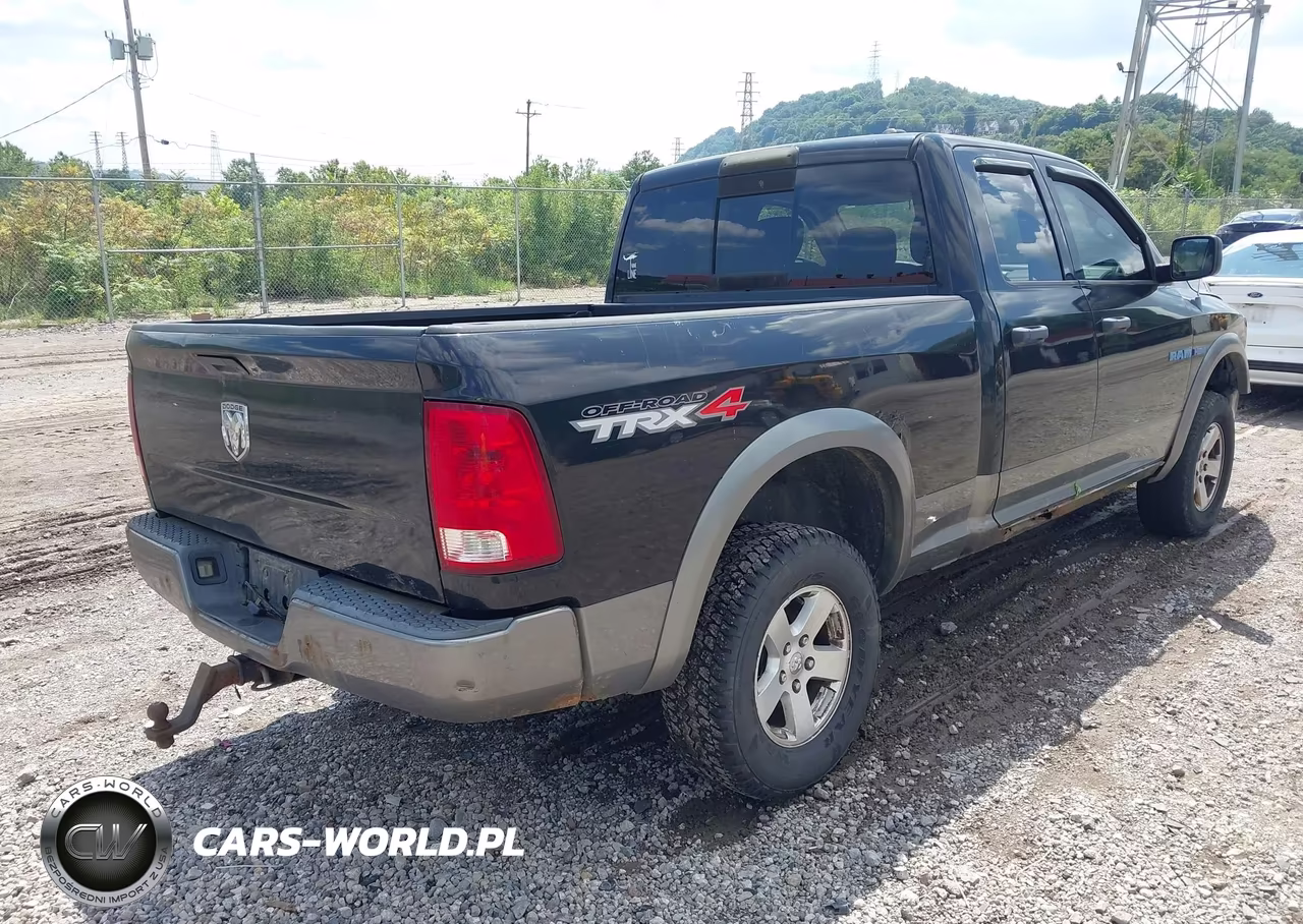 2010 Dodge Ram 1500 Slt-Sport-Trx VIN:1D7RV1GT1AS103342 - 4
