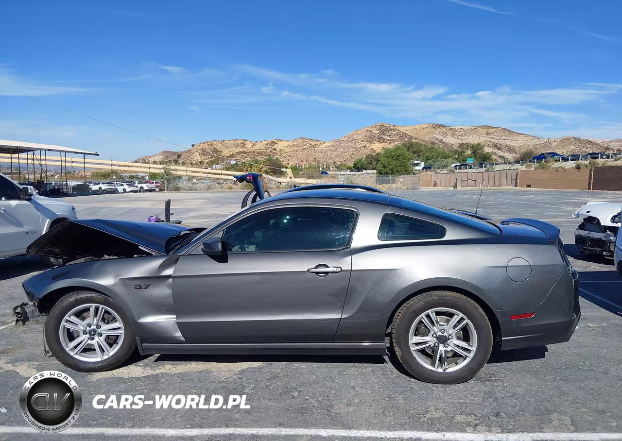 2014 Ford Mustang V6 VIN:1ZVBP8AMXE5333317 - 14