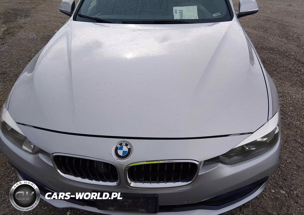 2017 BMW 330I xDrive VIN:WBA8D9G33HNU63130 - 10