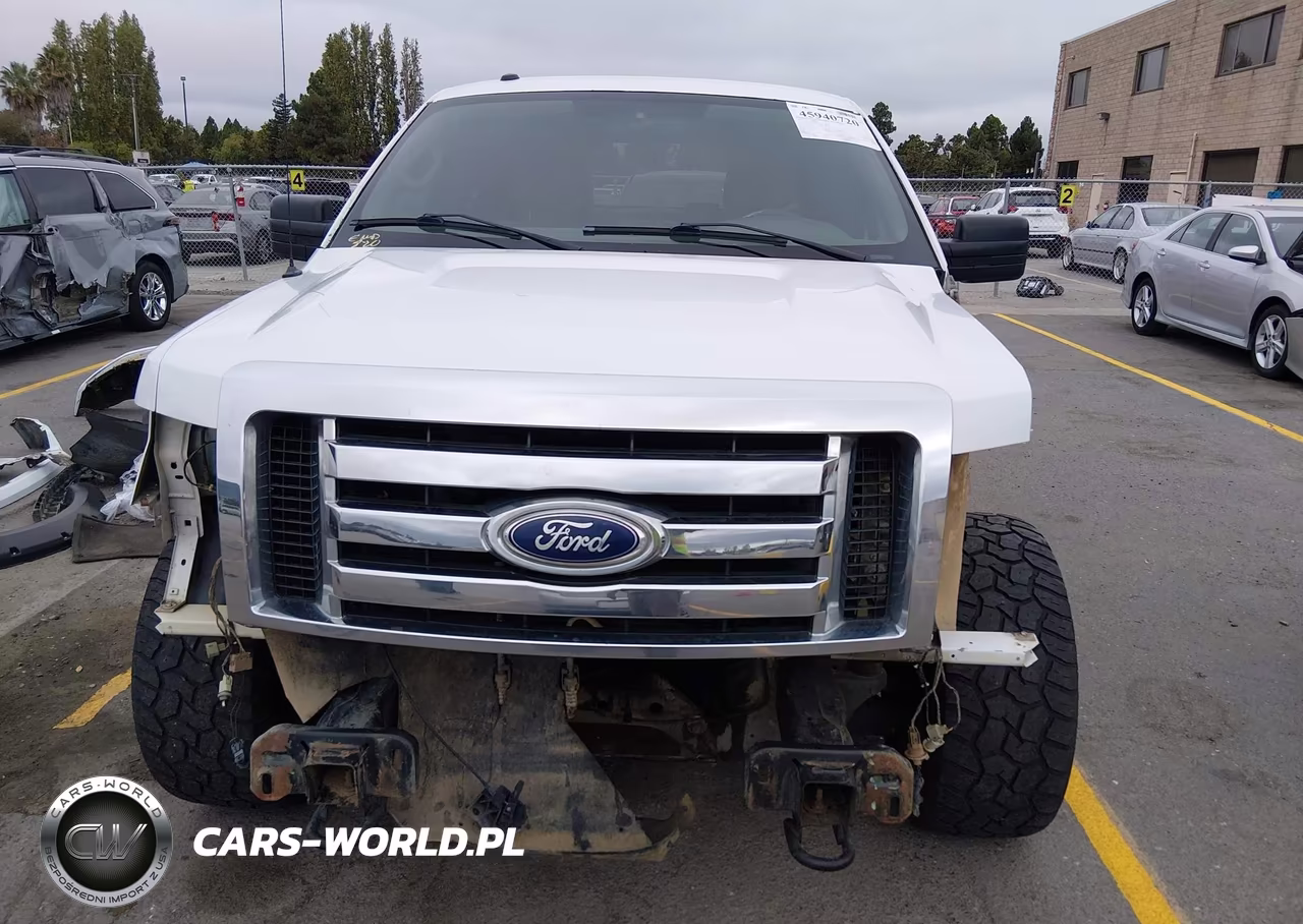 2010 Ford F-150 Xlt VIN:1FTFW1EV0AFB51924 - 13