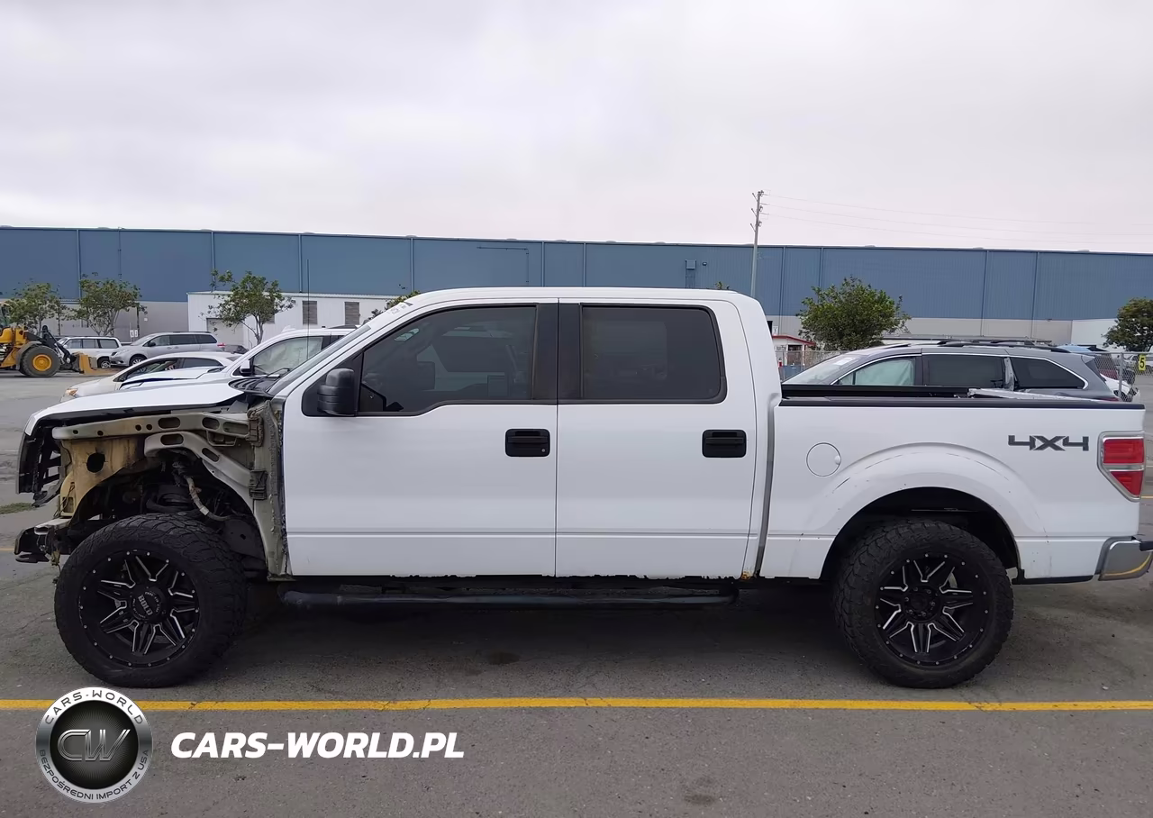 2010 Ford F-150 Xlt VIN:1FTFW1EV0AFB51924 - 15