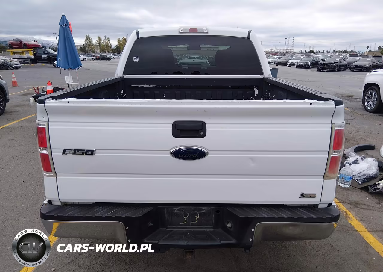 2010 Ford F-150 Xlt VIN:1FTFW1EV0AFB51924 - 17
