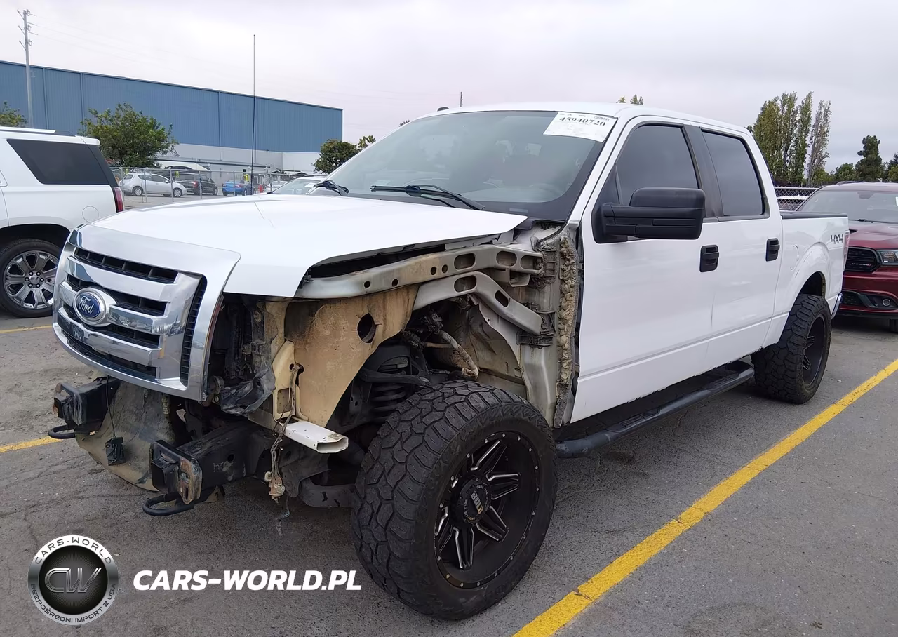2010 Ford F-150 Xlt VIN:1FTFW1EV0AFB51924 - 2