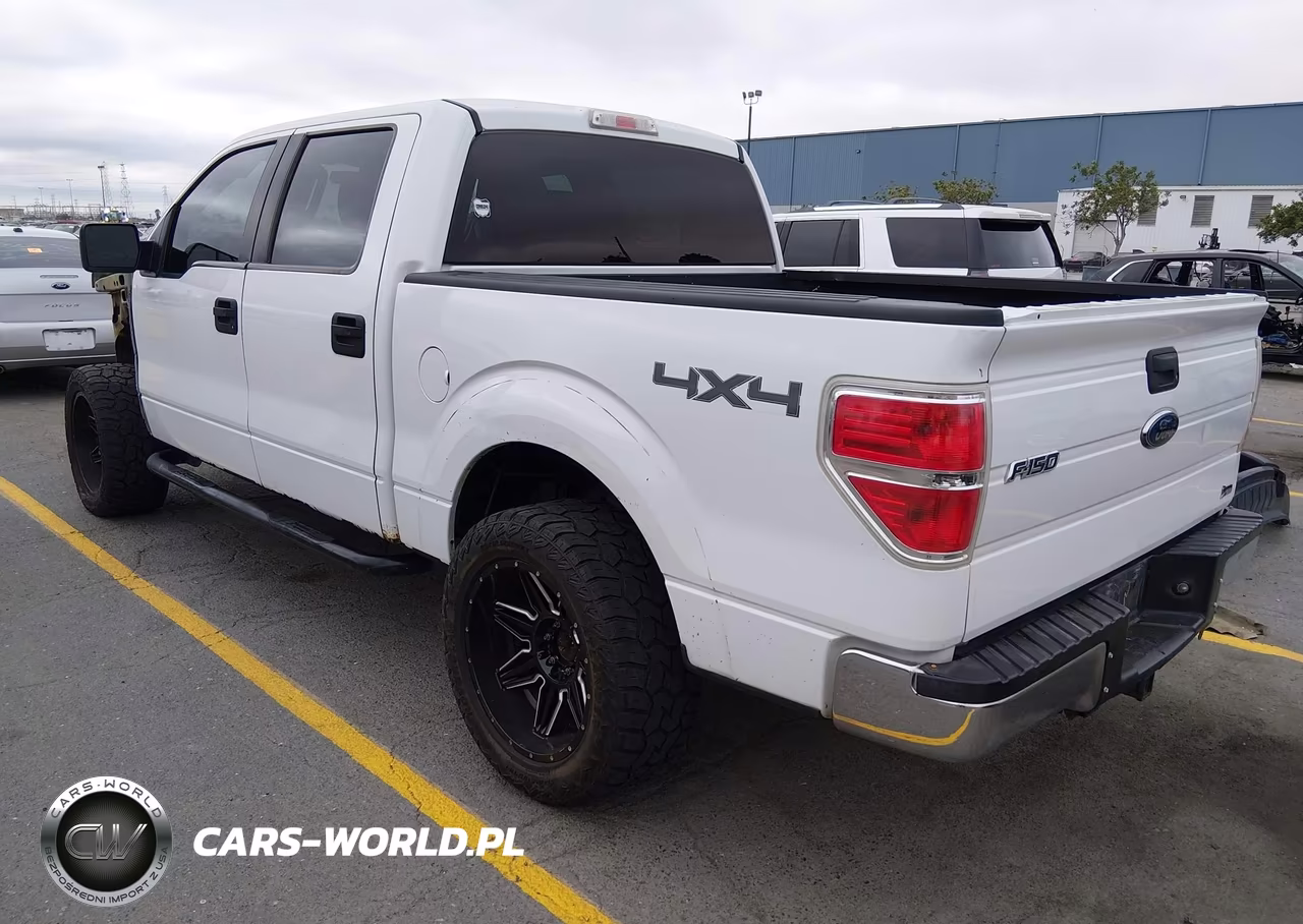 2010 Ford F-150 Xlt VIN:1FTFW1EV0AFB51924 - 3