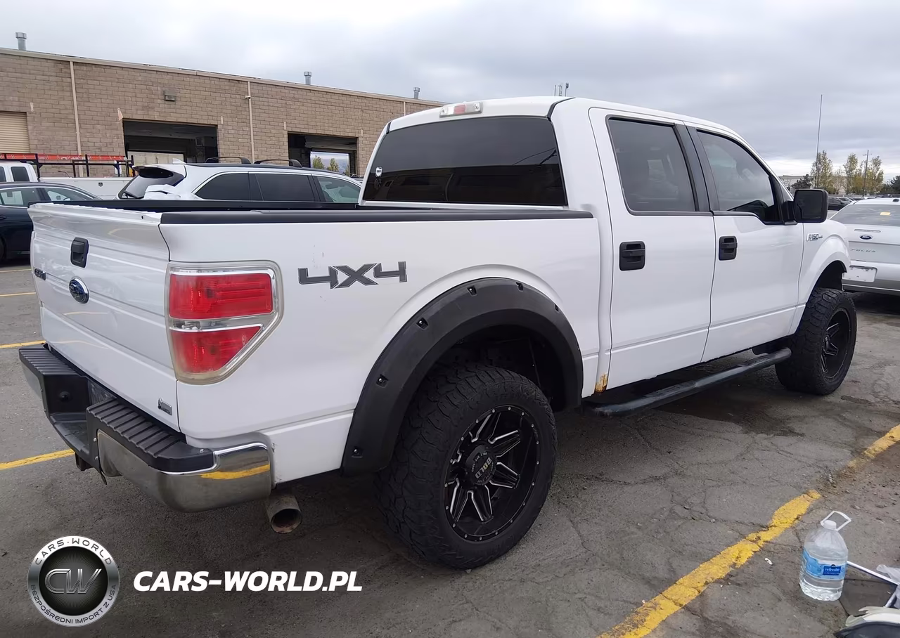 2010 Ford F-150 Xlt VIN:1FTFW1EV0AFB51924 - 4