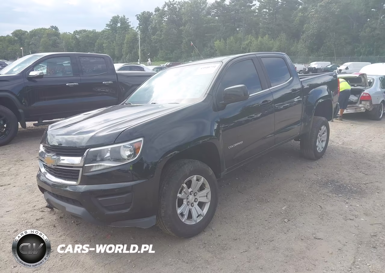 2019 Chevrolet Colorado Lt VIN:1GCGSCEN7K1104240 - 2