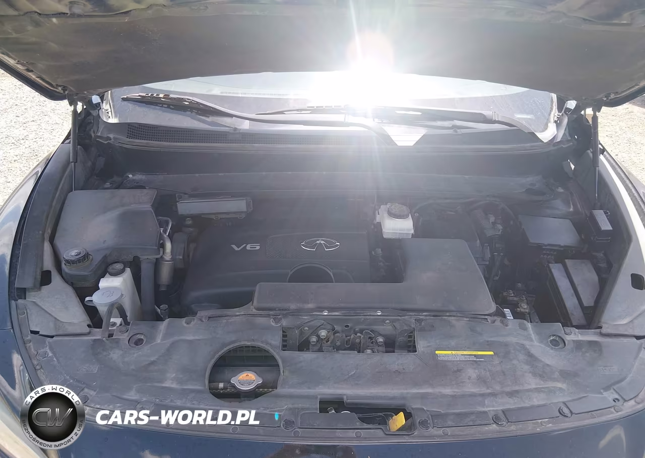 2017 Infiniti Qx60 VIN:5N1DL0MM3HC523654 - 10