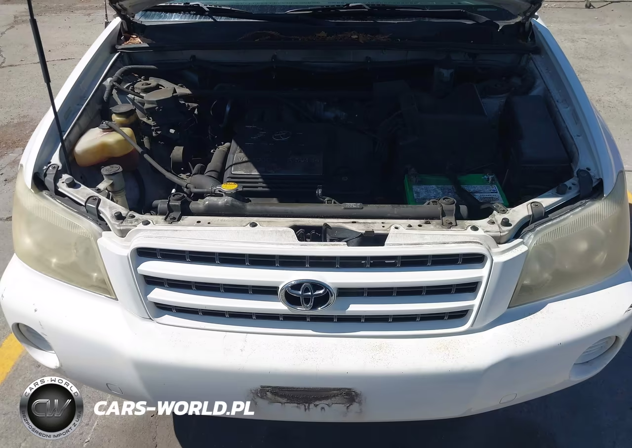 2002 Toyota Highlander V6 VIN:JTEHF21A520095125 - 10