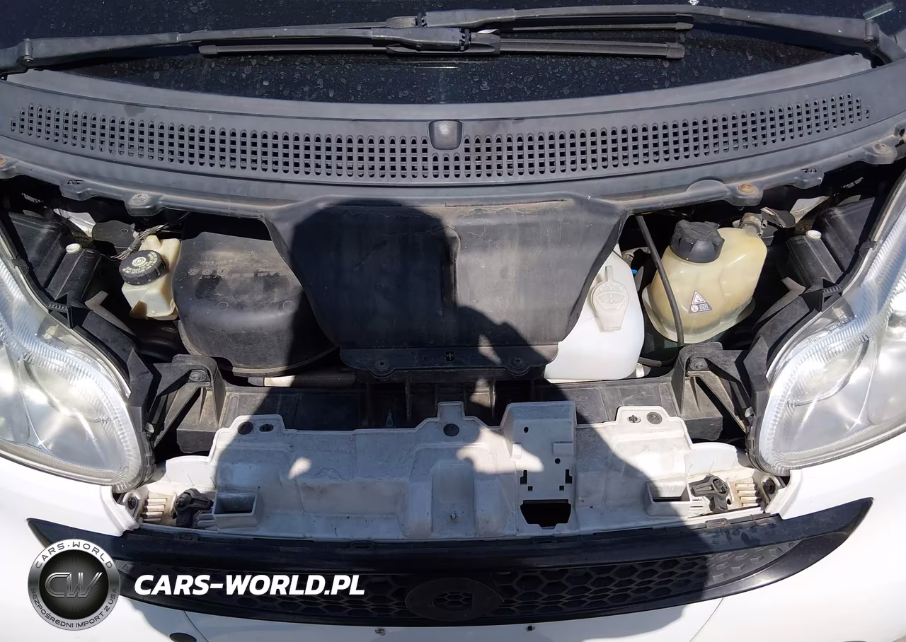 2014 Smart Fortwo Pure VIN:WMEEJ3BA2EK748448 - 10